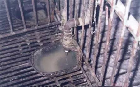 影响哺乳仔猪腹泻的因素及防治措施，养猪人必读！