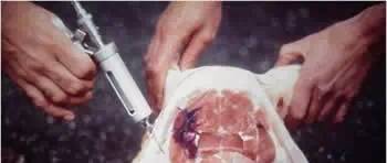 给猪打针还鼓包？你肯定没做到这两点