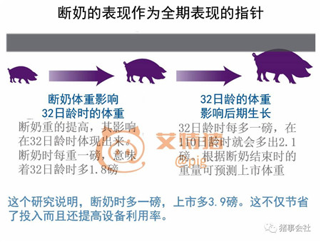 用数字告诉你断奶对出栏的影响