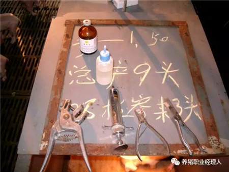精细管理，让仔猪在愉悦中成长！