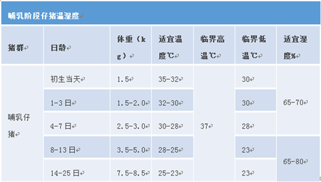 母猪快乐“坐月子”、母安仔健的要点