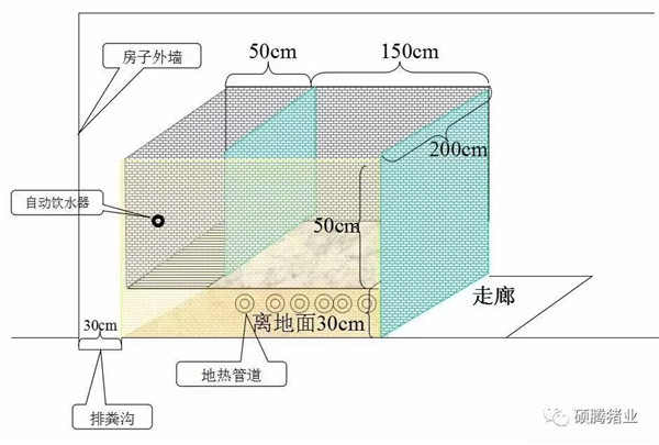 猪舍整体布局设计图（细节尺寸图纸）