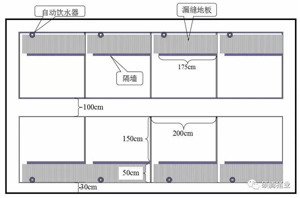 猪舍整体布局设计图（细节尺寸图纸）