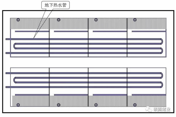 猪舍整体布局设计图（细节尺寸图纸）