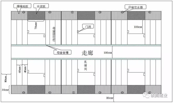 猪舍整体布局设计图（细节尺寸图纸）