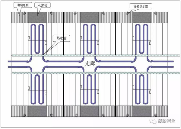 猪舍整体布局设计图（细节尺寸图纸）