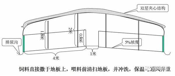 猪舍整体布局设计图（细节尺寸图纸）