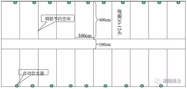 猪舍整体布局设计图（细节尺寸图纸）