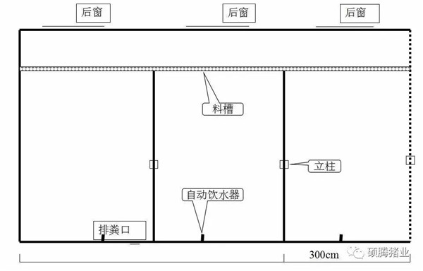 猪舍整体布局设计图（细节尺寸图纸）