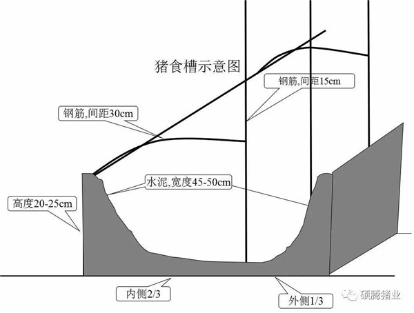 猪舍整体布局设计图（细节尺寸图纸）