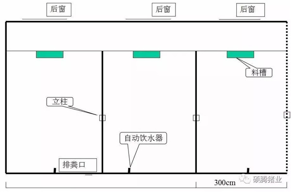 猪舍整体布局设计图（细节尺寸图纸）