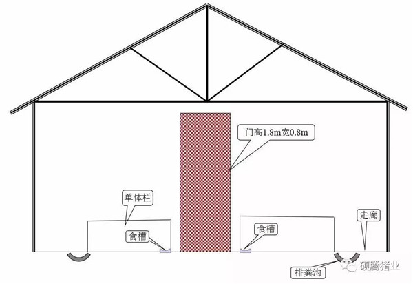 猪舍整体布局设计图（细节尺寸图纸）