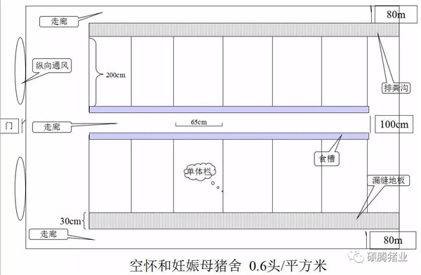 猪舍整体布局设计图（细节尺寸图纸）