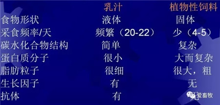 猪饲料选择的8大误区！千万别被误导！