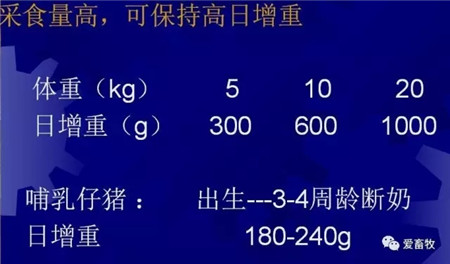 猪饲料选择的8大误区！千万别被误导！