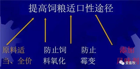 猪饲料选择的8大误区！千万别被误导！