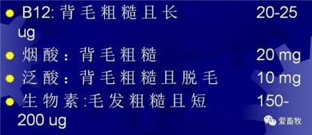 猪饲料选择的8大误区！千万别被误导！