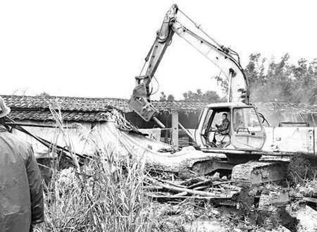 福州高新区被取缔的养猪场死灰复燃 南屿昨清拆