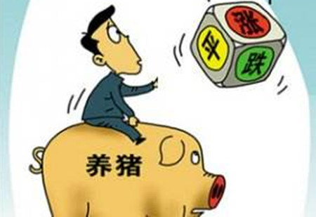 供需双方各持一词 猪价涨跌两难