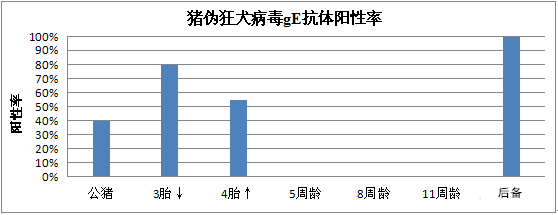 广东某猪场一例爆发型猪伪狂犬病的诊断分析