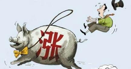 清明前猪价能涨到多少?主要看这些……