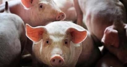 4月将迎来最严环保督查 29项检查不达标别想开工！