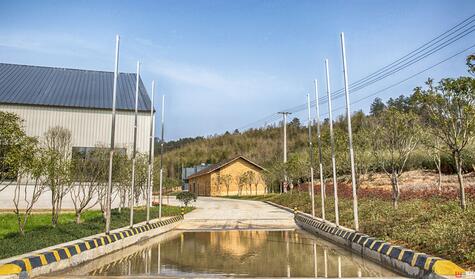 我和丁磊养的猪“睡”了一夜,哎!人不如猪啊……