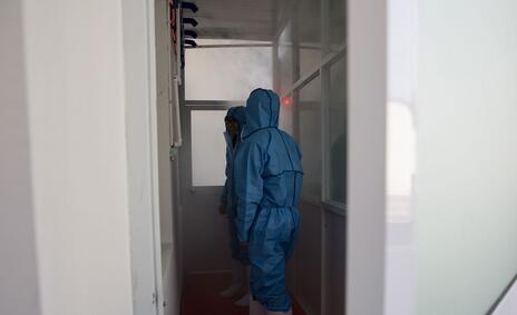 我和丁磊养的猪“睡”了一夜,哎!人不如猪啊……