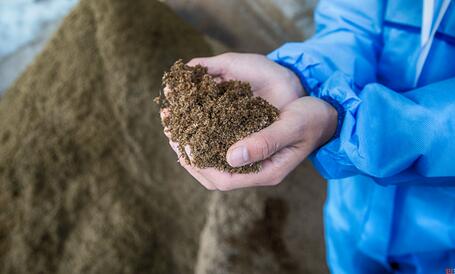 我和丁磊养的猪“睡”了一夜,哎!人不如猪啊……