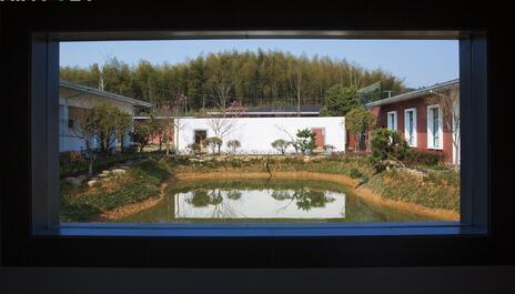 我和丁磊养的猪“睡”了一夜,哎!人不如猪啊……