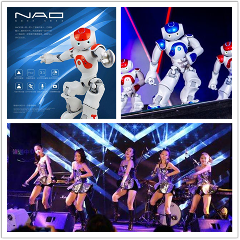 第十五届（2017）中国畜牧业博览会——“规模猪场日”