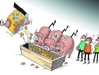 不靠谱!咱养猪人不能寄期望于国家的猪肉收储政策!