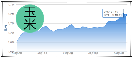 4月5日猪评：华北“涨”声一片 南方地区消费正回暖