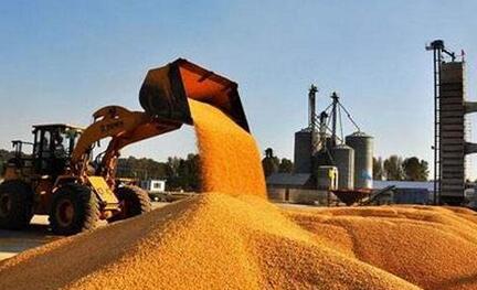 收购玉米获刑又被判无罪，内蒙古农民申请国家赔偿38万