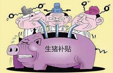 农村晓得养猪补贴的少就算了,中小养殖户还沾不上边?
