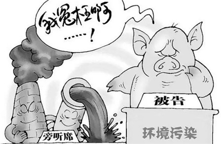 坏消息一个又一个，养猪越来越难了！该怎么办？