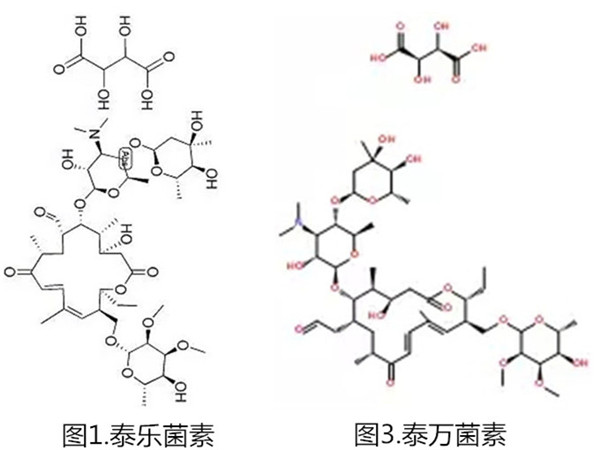 大环内酯类药物为啥牛?