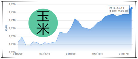 4月19日猪评：南方地区部分省市上涨 终端消费依旧是个大问题