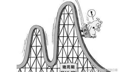 猪价一年跌两成 是存栏还是卖?警惕出现踩踏式抛售