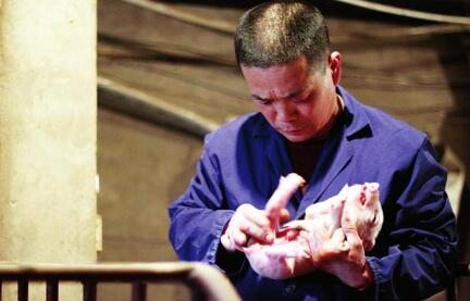 炊事班长复员当“猪倌” 养猪成功受总理接见