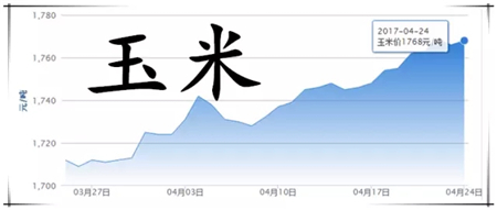 4月24日猪评：开门不红，四月最后一周猪价何去何从？