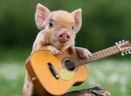 刘畅:“重构+植入”并举 助公司转型升级