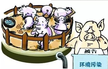 禁养拆迁潮席卷河南 漯河要清理百万头猪 郑州砸19亿来拆迁