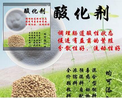 述说饲料酸化剂与畜禽动物的深厚情缘