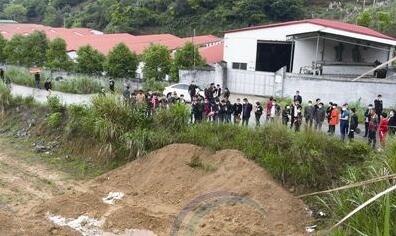 恶心！村里莫名恶臭弥漫，结果竟挖出一“猪葬场”