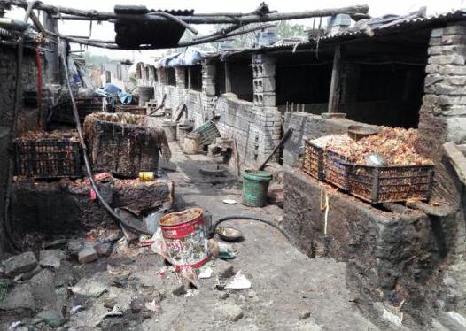 恶心！肮脏不堪的养殖环境让人不忍直视