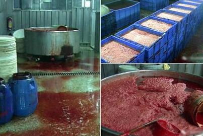 深圳猪红黑工厂内幕曝光 成本1斤1毛利润相当可观