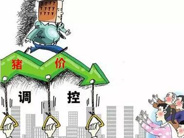 政府有必要调控,否则猪肉将从极端走向另一极端