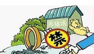 限养!万头猪场被要求迅速转运生猪,不达标就关停