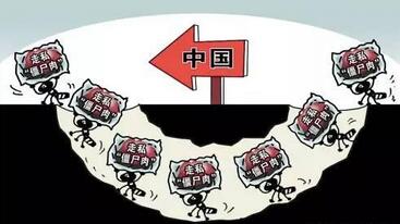 猪价暴跌，进口猪肉、走私猪肉、屠企压价，猪周期持问题续发酵